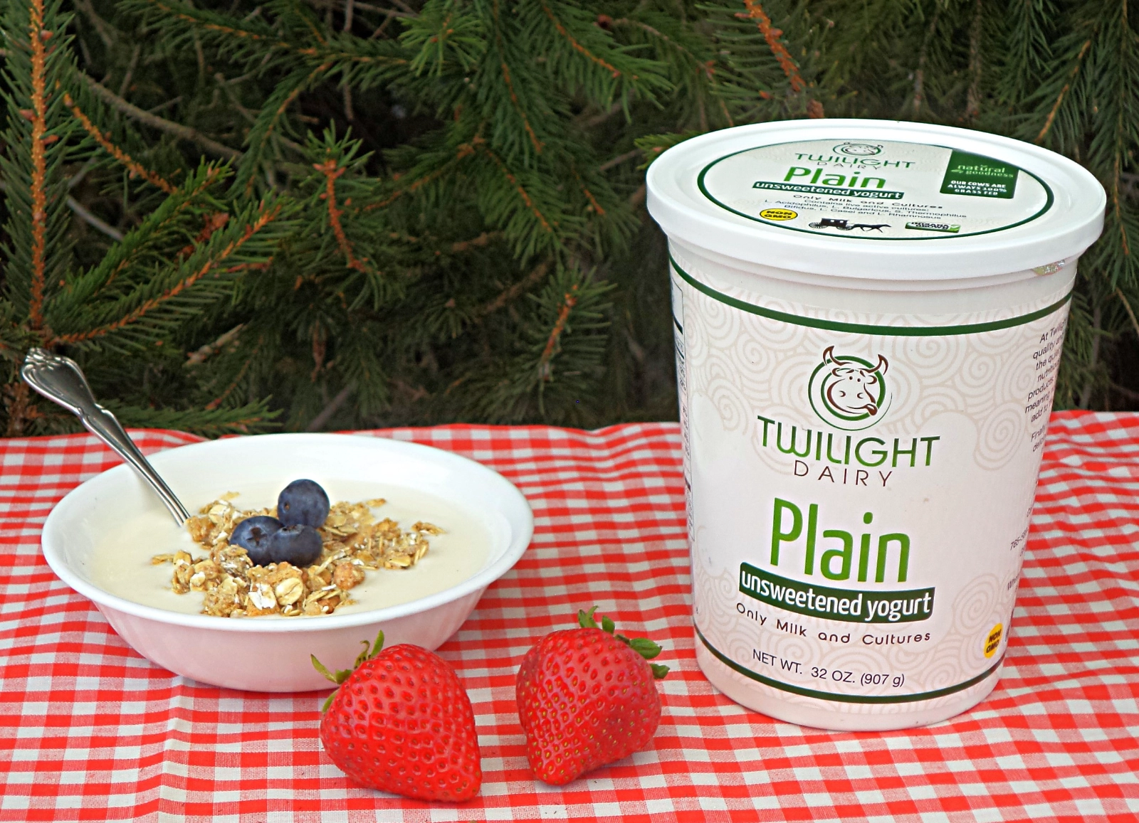 yogurt-plain-32-oz-100-grass-fed